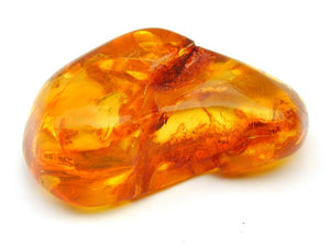 Amber - to know gemstones better